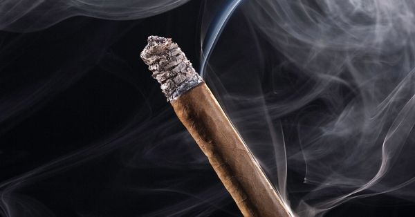 Burning cigar developing ash with smoky background