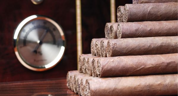 Bundle of cigars in a humidor