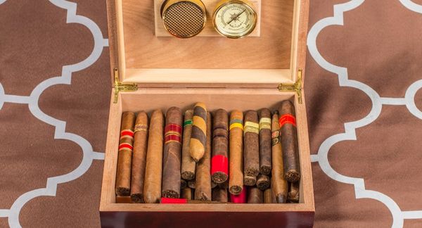 Cigars Inside Humidor Box