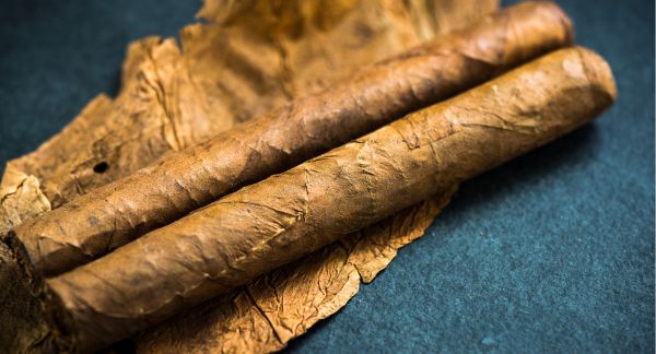 Two Cigars on Table with Wrapper