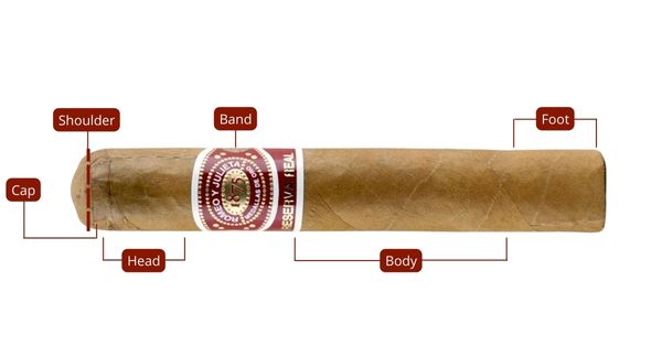 How to cut a cigar diagram