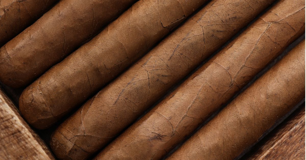 Multiple Cigars Without Bands