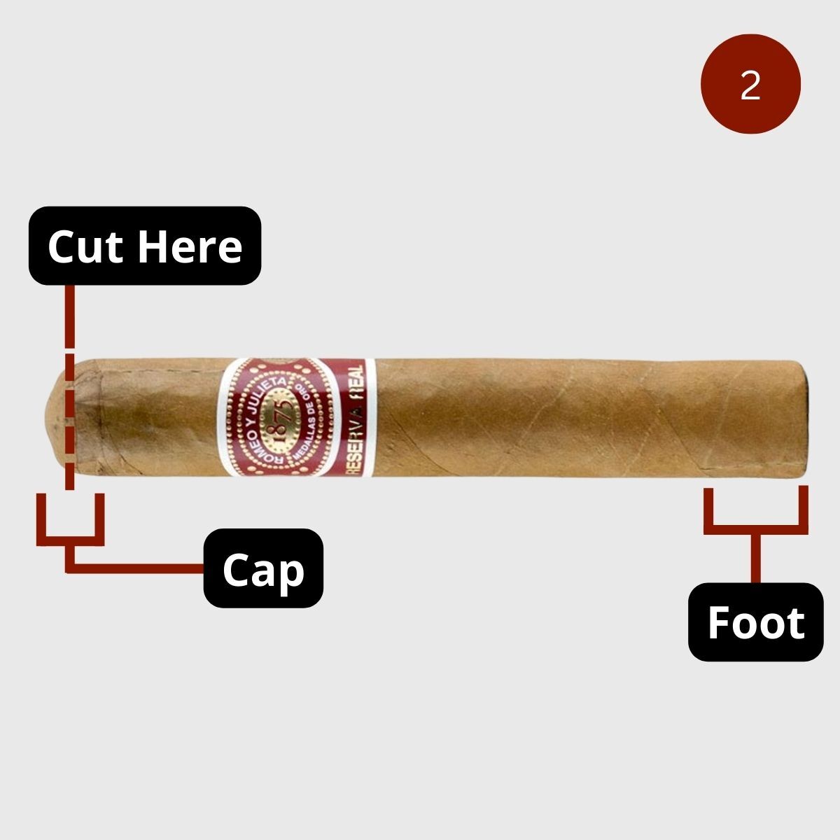 Where to Cut a Cigar Illustration